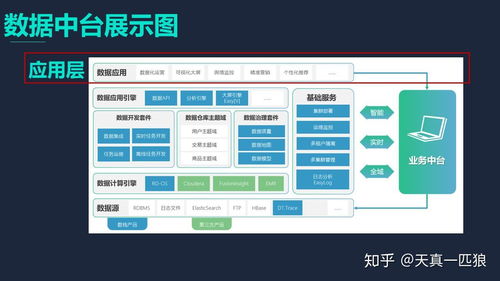 市面上常見的數(shù)據(jù)應(yīng)用產(chǎn)品及公司